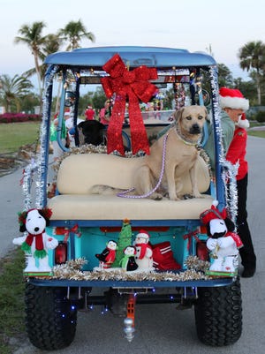 Dax waits patiently for the parade to start. On Christmas Eve, Dec. 24, 2017, Capri residents gathered for the 10th Annual Golf Cart Parade.