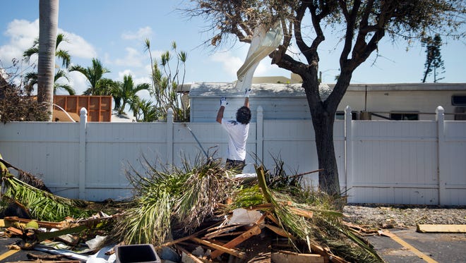 Kristian Schomburg attempts to grab a sheet of metal from a tree to add to a debris pile while cleaning up at the Snook Inn on Marco Island on Tuesday, September 12, 2017, two days after Hurricane Irma.