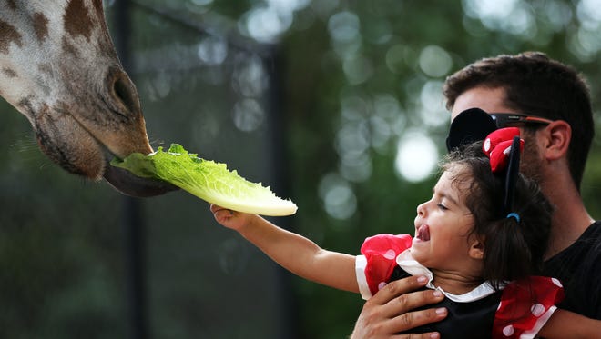 Carlos Burguillo of Naples holds his daughter Sofia, 2, as she feeds a giraffe during Boo at the Zoo in Naples in 2015.