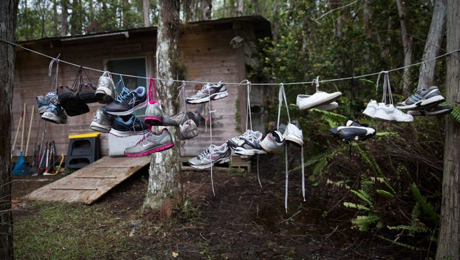 Shoes dry out near a swamp walk trailhead behind Clyde Butcher's Big Cypress Gallery on Saturday, Oct. 28, 2017.