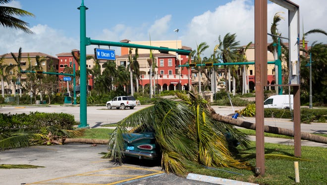 A palm frawn lays on top of a classic car in Marco Island, Fla. Monday, September 11, 2017.