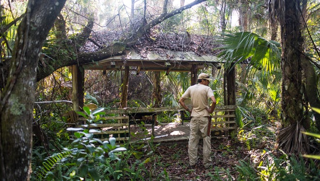 Alex Rodriguez checks out a hut on the property of the late conservationist Bob Gore in Golden Gate Estates on Sunday, Feb. 26, 2017. Collier County commissioners voted last week to buy the property with funds from the Conservation Collier trust.