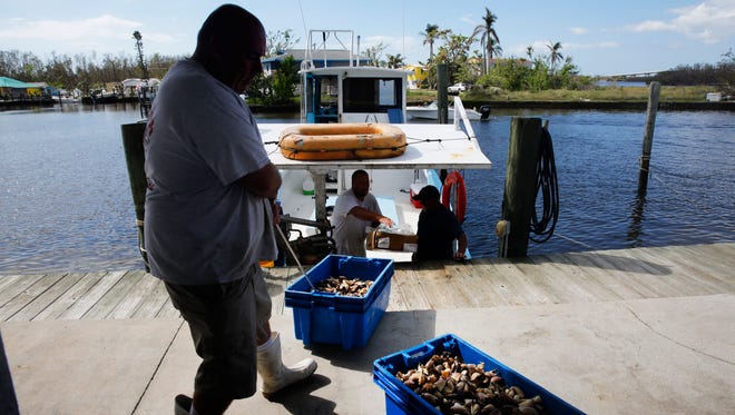 Matt Smith hauls in a container of freshly caught stone crab on the first day of stone crab seaon at Kirk Fish Company in Goodland on Sunday, Oct. 15, 2017.