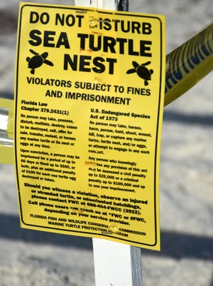 Signage and ribbons warn people away from the egg site of a nesting turtle in Tigertail Beach on Marco Island.