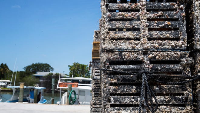Thousands of crab traps line the docks at Kirk Fish Co. in Goodland, Fla., on Saturday, May 13, 2017. Stone crab traps must be removed from the water within five days after the close of the stone crab season on May 16.