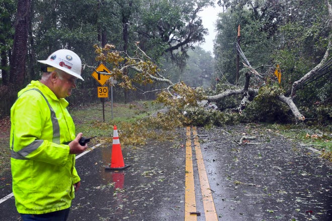 A City of Tallahassee electrical worker assesses damage to power lines after a tree fell on Old St. Augustine, a canopy road, in Tallahassee, Fla., as Hurricane Idalia made landfall Wednesday, Aug. 30, 2023.