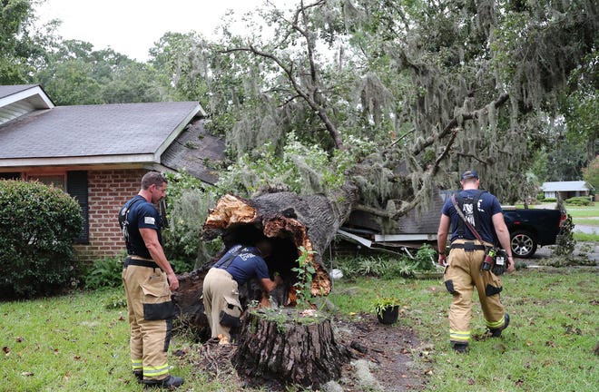A Savannah firefighter looks inside the hollow trunk of a large tree that fell on the carport of a Windsor Forest home as Hurricane Idalia moved through Georgia on Wednesday, August 30, 2023.