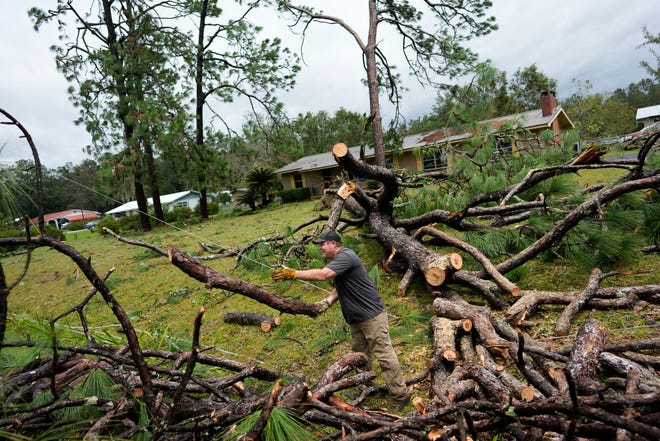 Joe Morgan, 53, clears a pine tree that had fallen on power lines in front of his home, following the passage of Hurricane Idalia, Wednesday, Aug. 30, 2023 in Perry, Fla.