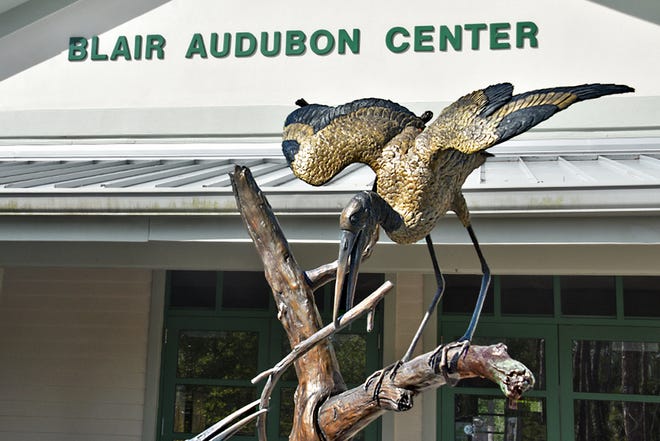 The Blair Audubon Visitor Center located within the Corkscrew Swamp Sanctuary focuses on science-based public policy, advocacy and education.