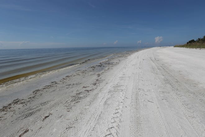 The beach area around Lighthouse Point on Sanibel Island was clear of dead fish on Wednesday 8/22/2018 morning. A red tide bloom in the waters off of the coast  Southwest Florida is killing and affecting marine life. Fluctuations in water quality and beach conditions can change on a daily to almost an hourly basis.