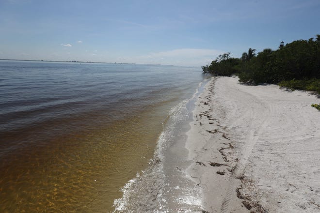 The beach area around Lighthouse Point on Sanibel Island was clear of dead fish on Wednesday 8/22/2018 morning. A red tide bloom in the waters off of the coast  Southwest Florida is killing and affecting marine life. Fluctuations in water quality and beach conditions can change on a daily to almost an hourly basis.
