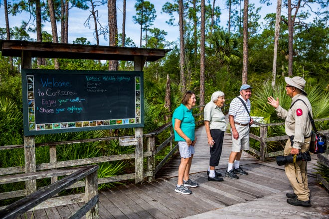 Volunteer Jerry Jackson leads a guided tour of the Audubon Corkscrew Swamp Sanctuary on Wednesday, Aug. 29, 2018.