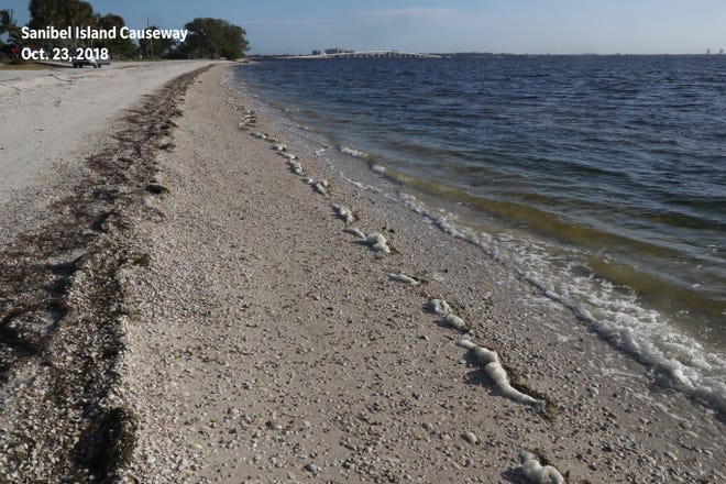 After: An image from the same beach on the Sanibel Island Causeway — free of red tide — was recaptured on Oct. 23, 2018.