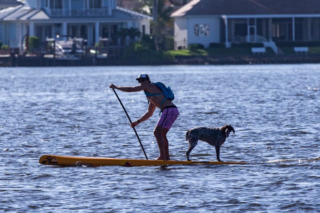 Naples resident, Iggy Sprude and his dog Charlie compete in the amateur stand up paddleboard race, Saturday, May 11, 2019, during the 43rd annual Great Dock Canoe Race at Crayton Cove in Naples.
