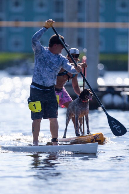Joe Setaro of Cape Coral races Naples resident, Iggy Sprude and his dog Charlie toward the finish line in the amateur stand up paddleboard race, Saturday, May 11, 2019, during the 43rd annual Great Dock Canoe Race at Crayton Cove in Naples.