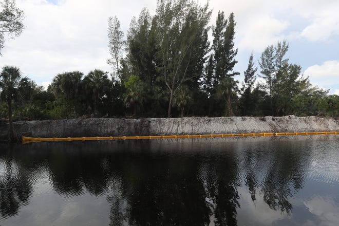 Exoctic vegetation and mangroves along with other vegetation was removed along the Coral Point Canal in Cape Coral recently.  The City of Cape Coral and the land owner, Ripple Lake LCC were issued a warning letter from the Department of Environmental Protection for mangrove alteration as well as failure to install and utelize best management practices among other things.
