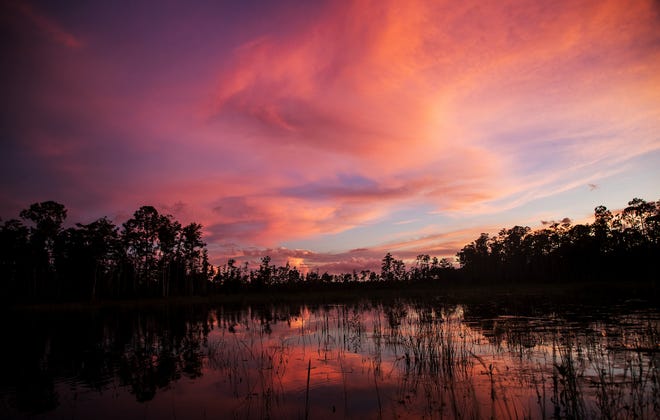 The reverse side of the sunset illuminates a marsh off of Alico Road on Friday, August 23, 2019. Recent storms have created light shows throughout Southwest Florida.