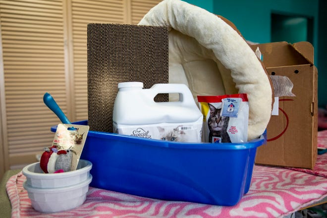 A basket of items is provided to people who adopt a cat through the seniors for seniors program at Naples Cat Alliance on Thursday, November 7, 2019. The program pairs cats over five years old with people 55 and older and waives the cat adoption fee.