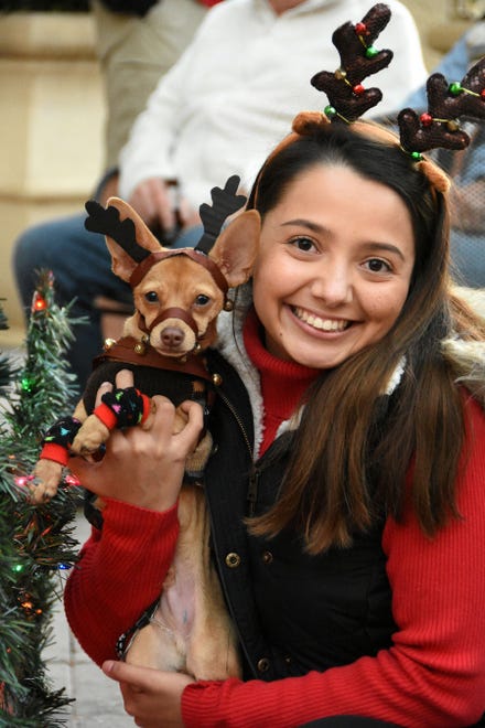 Pooches and owners arrived in holiday fare during Tuesday's Canine Christmas Parade presented by the Christmas Island Style.