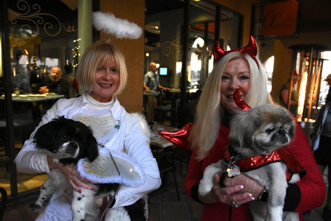 Pooches and their owners arrived in costumes during Tuesday's Canine Christmas Parade on Marco Island.