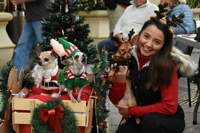 Pooches and their owners arrived in holiday fare during Tuesday's Canine Christmas Parade on Marco Island.