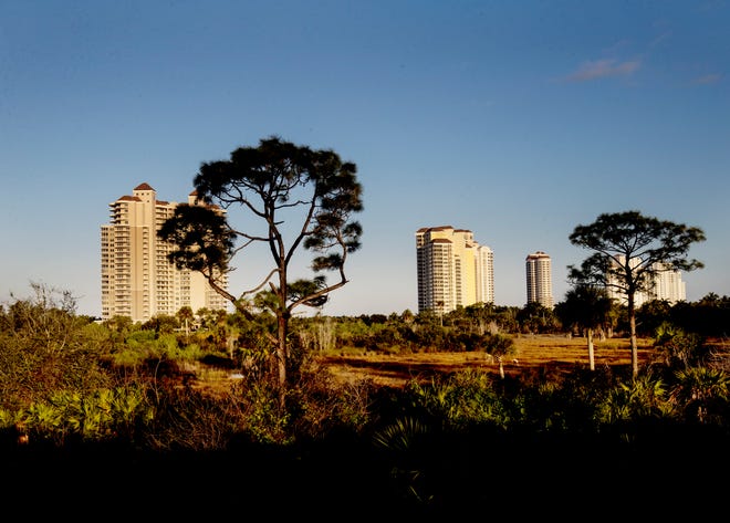 A marsh is seen in front of some of the towers at Bonita Bay on Thursday Jan. 30, 2020.