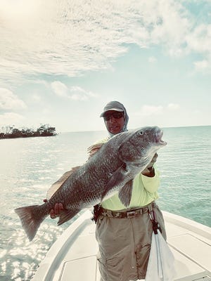 Bob Trento of Naples caught a large 35 pound black drum while fishing with Jim Kenney of Marco Island. Trento caught the fish just south of Marco on a Brown jig.