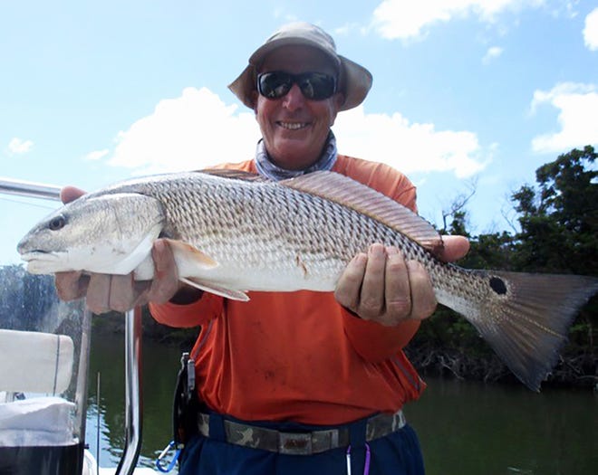 Bob Trento of Naples caught this large red fish. Trento was fishing with Jim Kenney of Marco Island. Trento caught the fish on a shrimp tipped jig south of Marco.