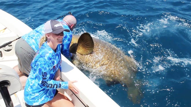 Reegan Werner reels in a massive goliath grouper with a calculated weight of 583 pounds.