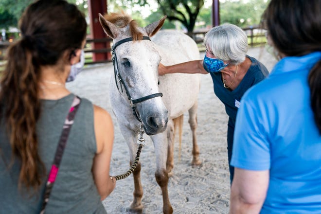 From left to right, Christina Theosevis, wellness manager at NCH, Cheryl Casbourne, office coordinator at NCH, and Diane Scharfenberg, pathology coordinator at NCH, interact with Patty the horse during an equine therapy session, offered for free to local healthcare workers, at Naples Therapeutic Riding Center on Wednesday, August 12, 2020.