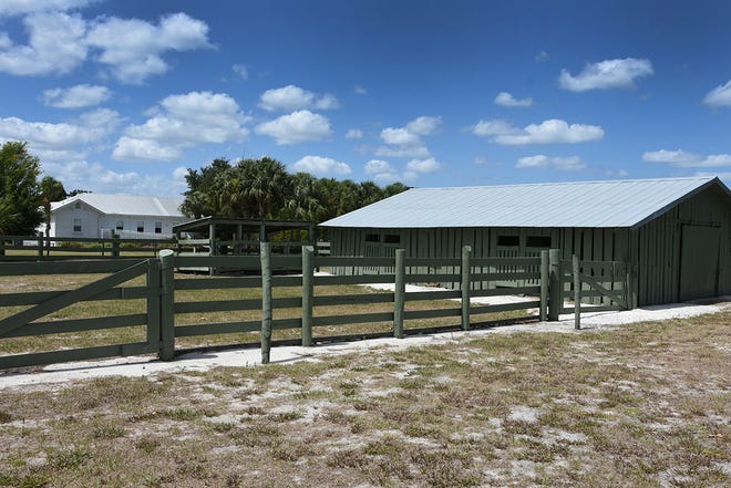 Roberts Ranch is a long-lived cattle operation in Immokalee, now a museum. Marco Island artist Jo-Ann Sanborn is having an exhibit of her cow paintings, titled “Florida on the Hoof,” at Roberts Ranch museum in Immokalee.