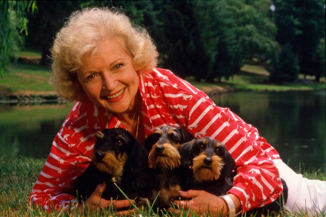 1986 portrait of actress Betty White, a noted animal activist and star on the television series "Golden Girls." Actress Betty White, who made television audiences laugh for more than seven decades, starring on popular sitcoms "The Golden Girls" and "The Mary Tyler Moore Show," has died on Dec. 2021, at 99.