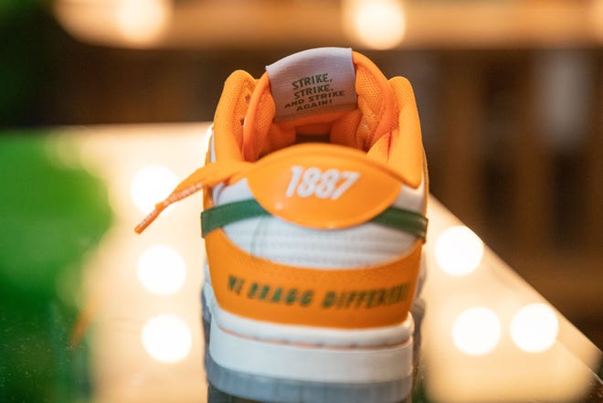 Caitlyn Davis, a Florida A&M University alumna, teamed up with Nike to design a FAMU inspired shoe. The shoe was released as part of the "HBCU Dunk Lows" collection. The inside of the tongue reads "Strike, strike and strike again," which refers to the school's mascot, the rattler snakes.